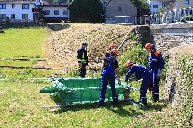 20100627-110136-Canon EOS 500D.jpg